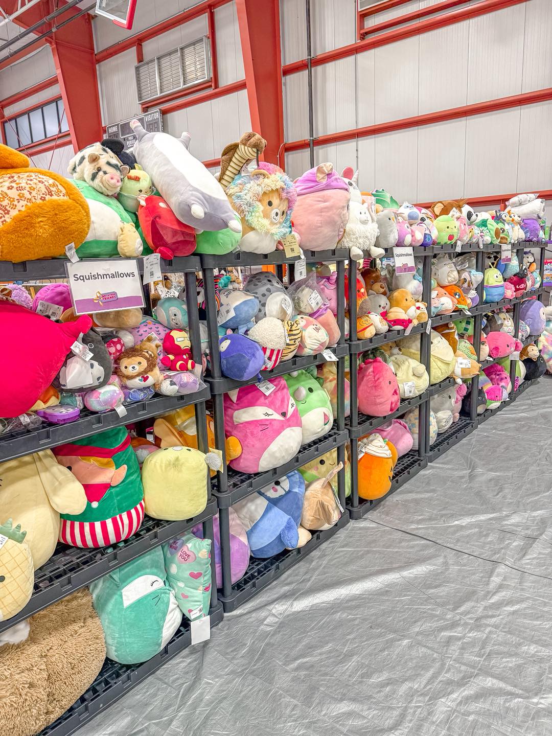 Squishmallows for miles