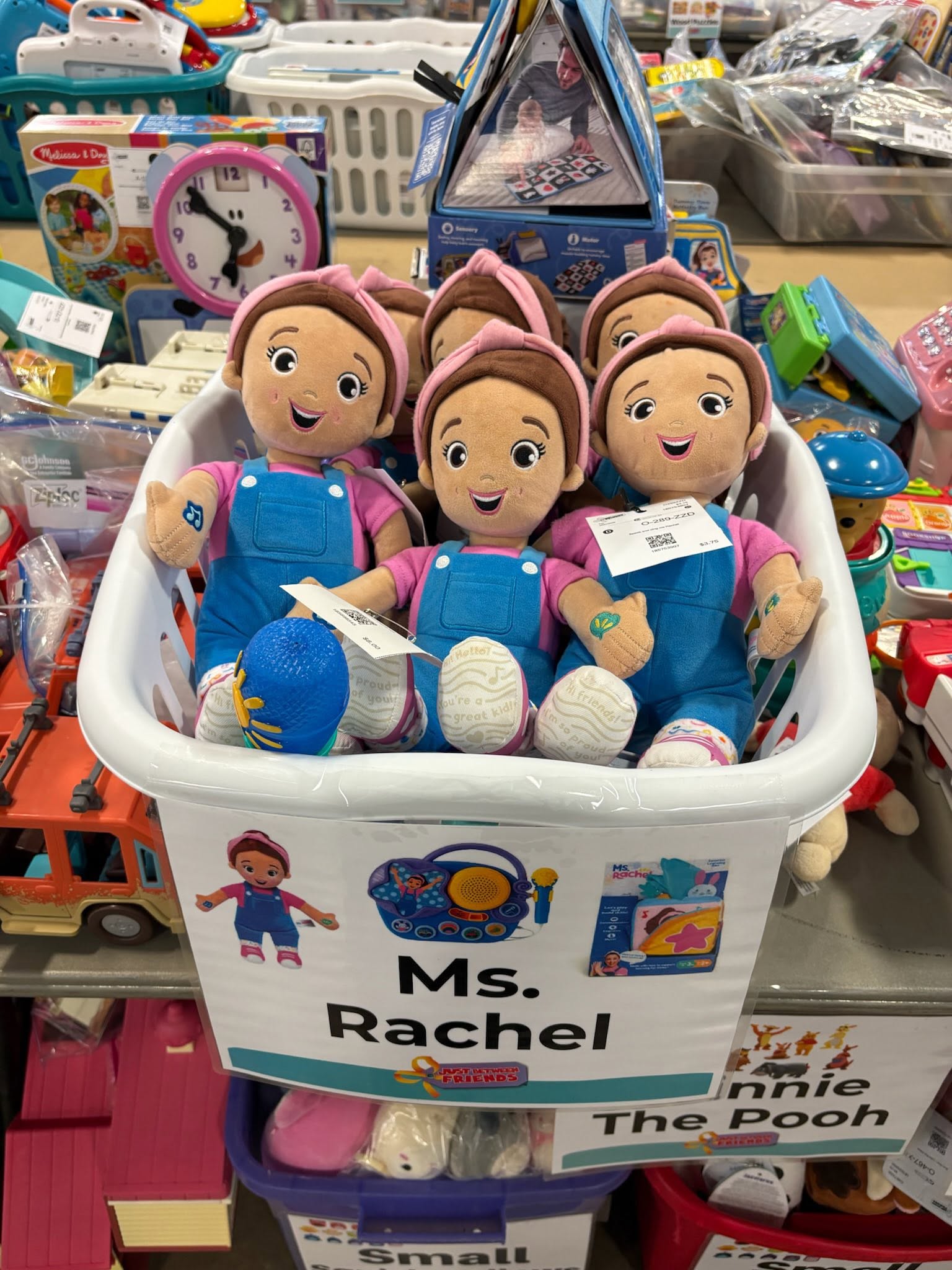 Ms Rachel