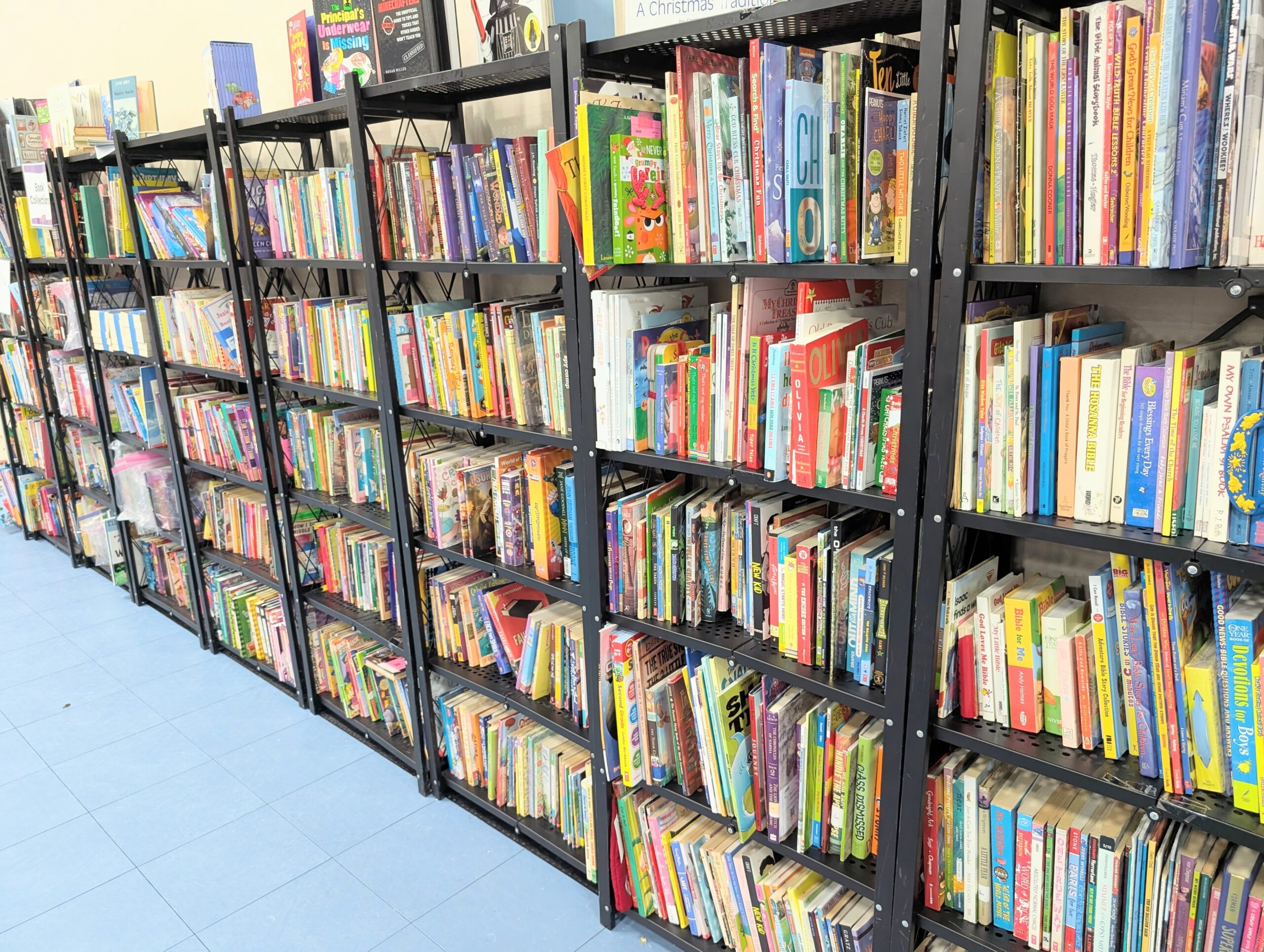Row of bookcases