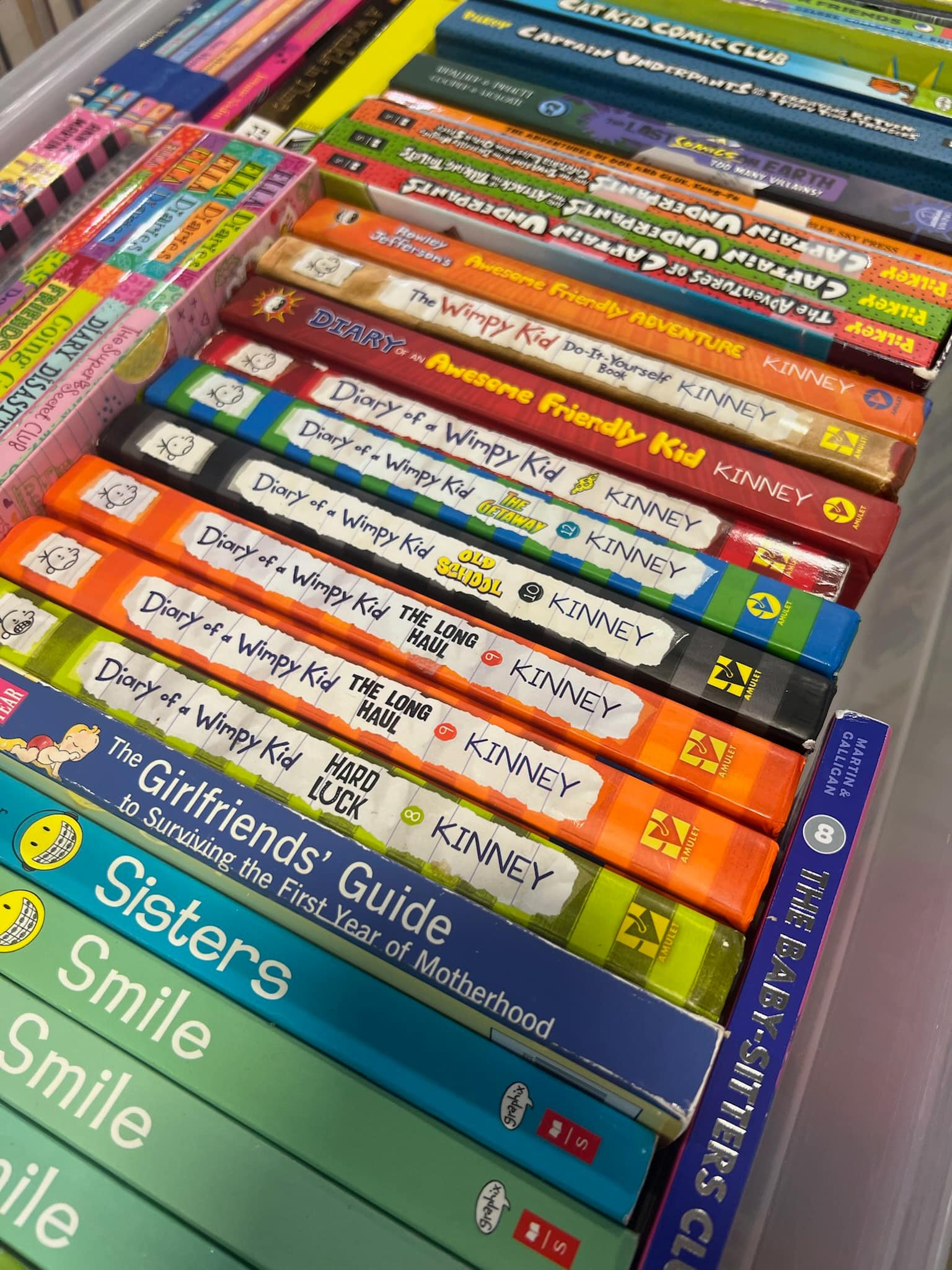 diary of a wimpy kid book