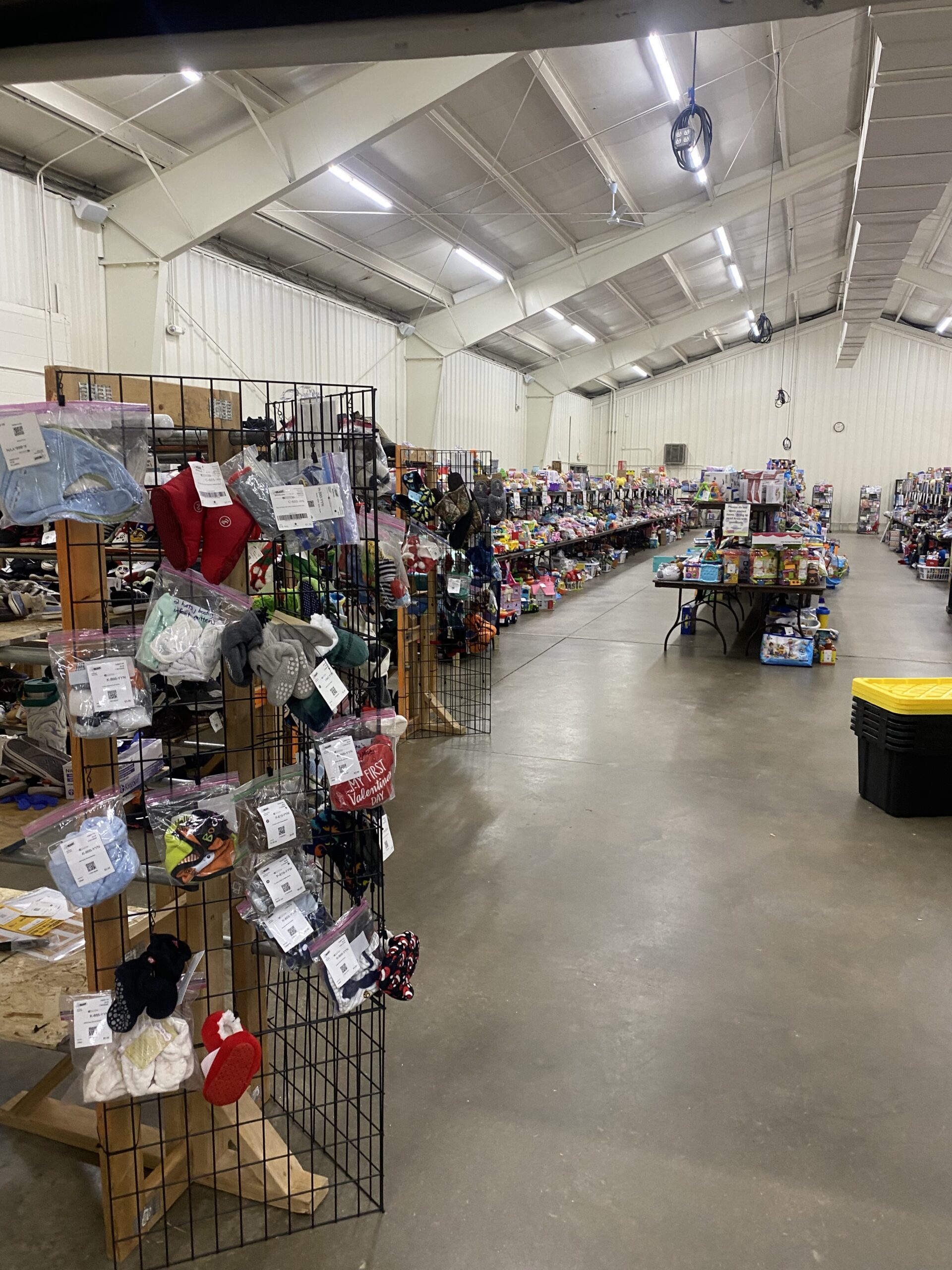 long view toy room