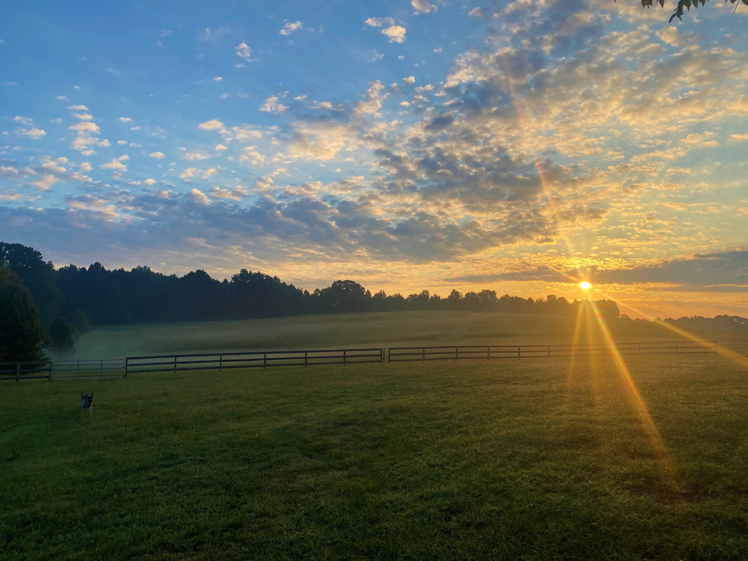 Sunrise
